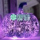 Calabazas Morado Pilas Luces Halloween Baterias Decoracion Otoño Evento