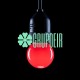 Foco 1W P45 Led Rojo G45 Colores Miniglobo Plastico Rosca E26 E27