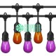 Guirnalda Led Halloween Día De Muertos Morado Naranja Exterior 100 Metros