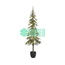 Pino Verde Maceta 1.50 Mts