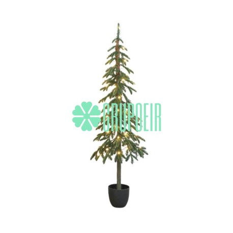 Pino Verde Maceta 1.50 Mts