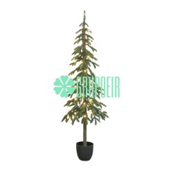 Pino Verde Maceta 1.80 Mts