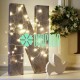Luces Led Pilas AA Calido 3 Mts Baterias Series Navidad Eventos Bodas