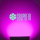 Reflector 50W Led Cob Rosa Exterior Fachadas Jardines Arboles Arbustos