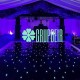 Reflector Luz Negra Led 100W Ultravioleta Uva Exterior Navidad Villa Navideña