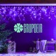 Cascada Led 10 Mts Morado 500 Luces Navidad Alumbrado Navideño Ayuntamiento
