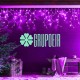 Cascada Led 10 Mts Rosa 500 Luces Navidad Alumbrado Navideño Ayuntamiento