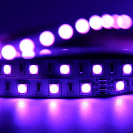 Tira De 300 Luces Led 5 Mts 5050 Decoracion Morado