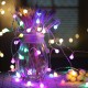 Luces de Globo LED Fiesta Unicornio Recamara Multicolor Pastel 8.5 Mts