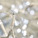 Serie 50 Luces Magica Blanco
