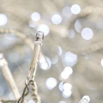 Serie 50 Luces Magica Blanco