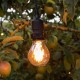 Foco LED Edison Vintage Atenuable Dimmable Luz Cálida Antique Ámbar 4.5W