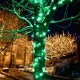 Luces Verdes LED Halloween Fiestas Patrias Navidad Decorativas 15 Mts
