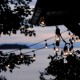 Guias Series Decoracion Jardines Bodas 15 Mts 30 Focos Vintage