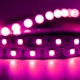 Tira De 300 Luces Led 5 Mts 5050 Decoracion Rosa