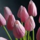 Tulipán Rosa Artificial Tipo Natural Bodas Ramos Botonier Boutonniere