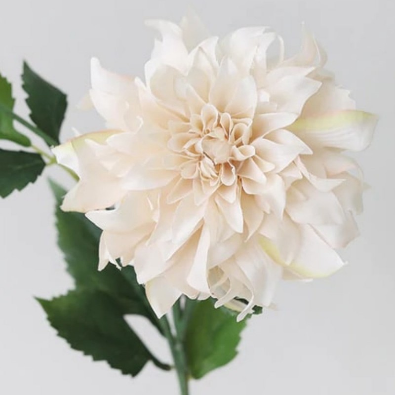 Dahlia Artificial Crema - Grupo Electro Industrial Renovable