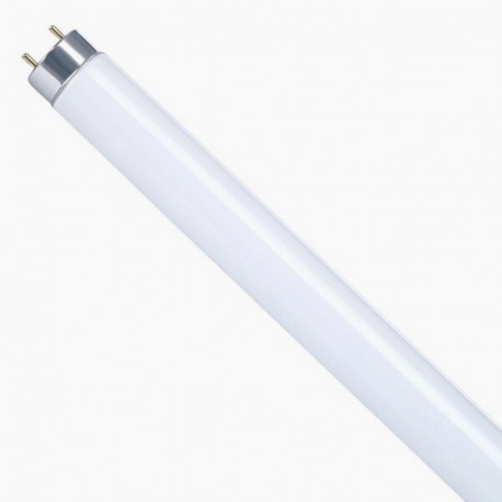 Tubo F40T8BL UVB BL 40W 120 Cms 1.20 Metros Luz Ultravioleta Sin Filtro