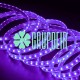 Manguera Led 5050 Morado 25 Metros Smd Exterior Flexible Plana Recta