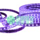 Manguera Led 5050 Morado 25 Metros Smd Exterior Flexible Plana Recta
