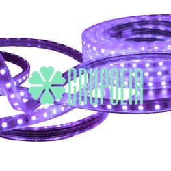Manguera Led 5050 Morado 25 Metros Smd Exterior Flexible Plana Recta