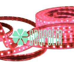 Manguera Led 5050 Rojo 25 Metros Smd Exterior Flexible Plana Recta