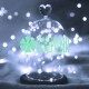 Luces De Hadas Pilas Boton Reloj Blanco Micro Led Alambre Tira 2 Metros